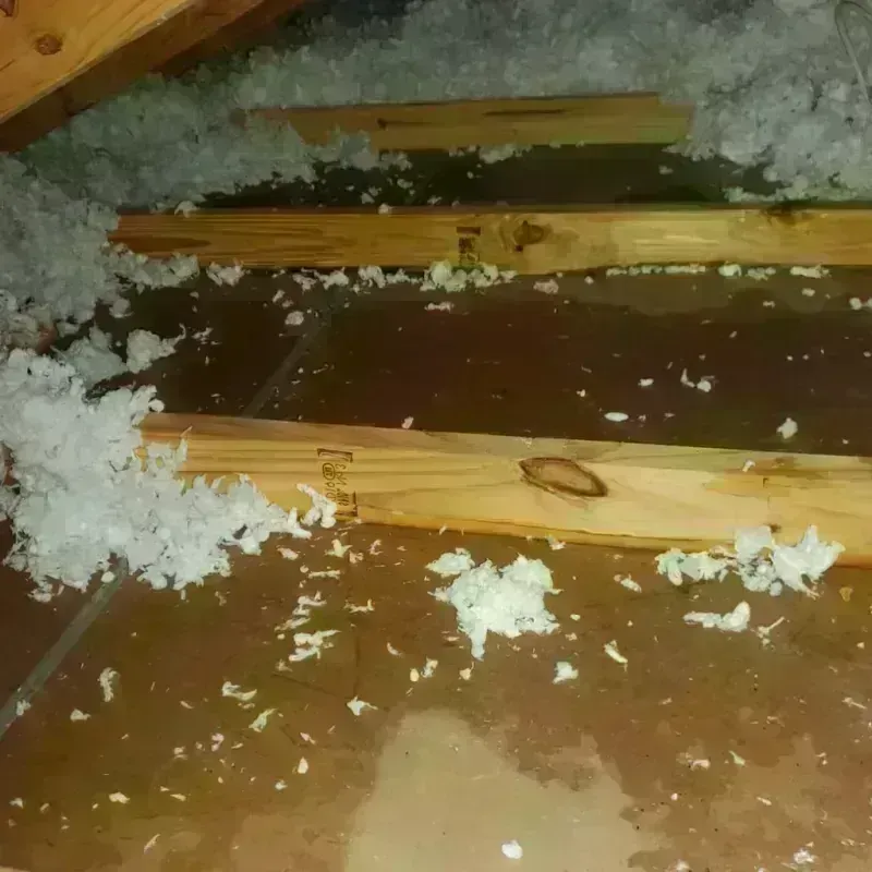 Attic Water Damage in Nowata, OK