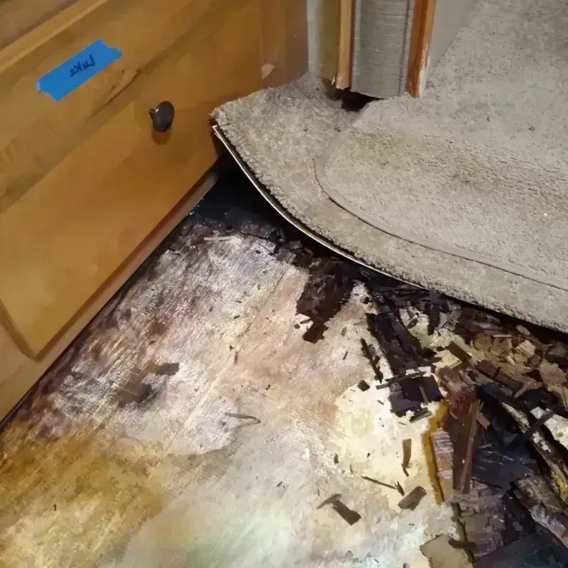 Wood Floor Water Damage in Nowata, OK